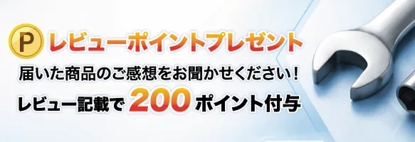 ��ӥ塼���ܤǥݥ������Ϳ