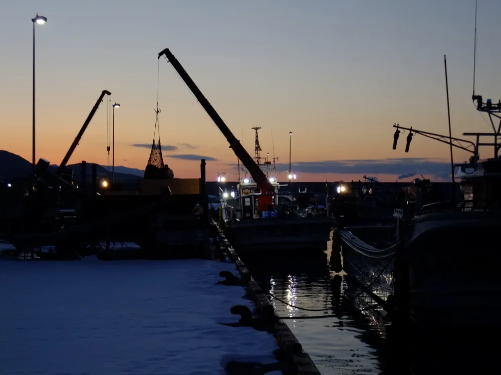 オホーツク海に流れつく流氷