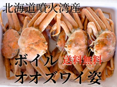 磻˻ѡ2kg̵