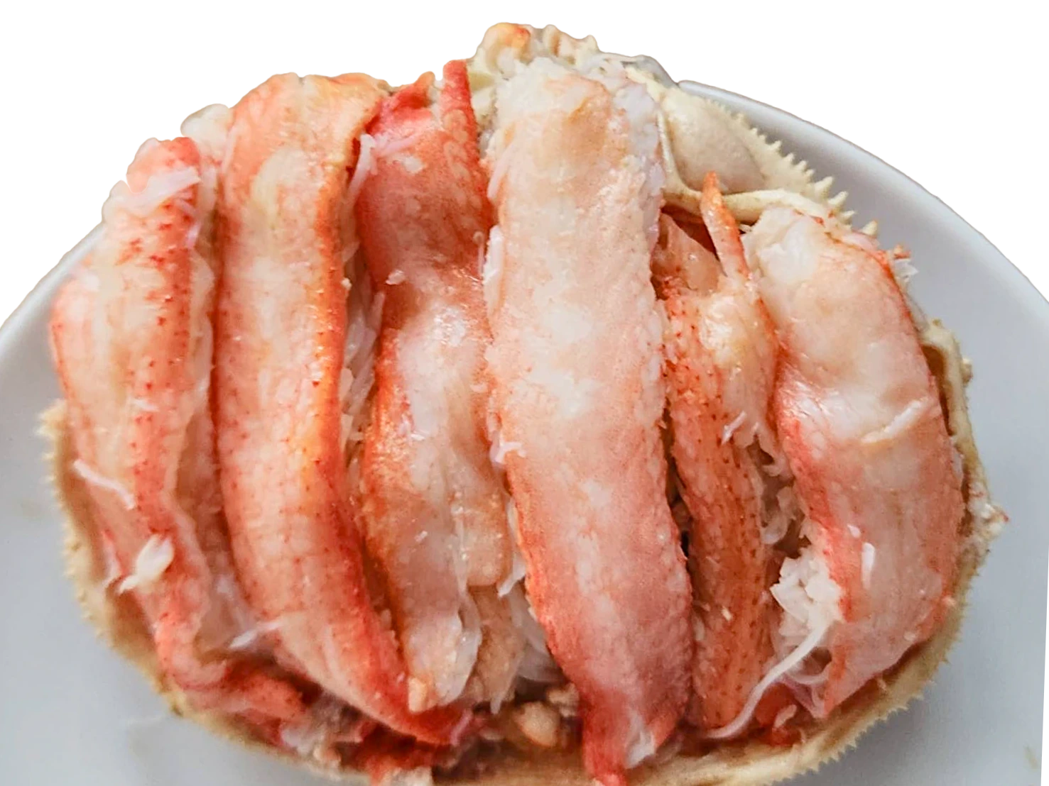 磻˻Ѥο
