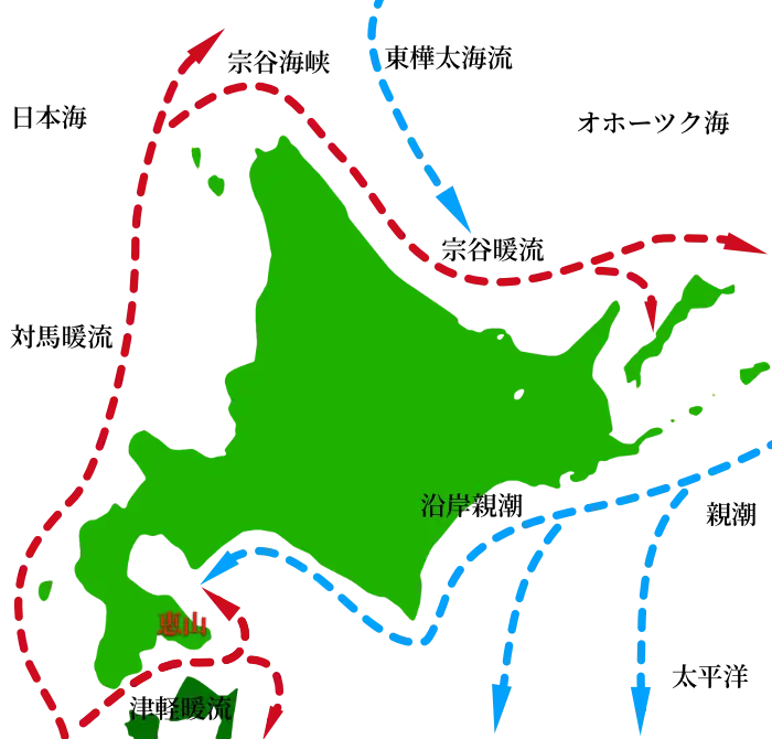 北海道全域の海流、恵山の場所