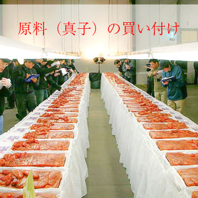 真子の買い付け