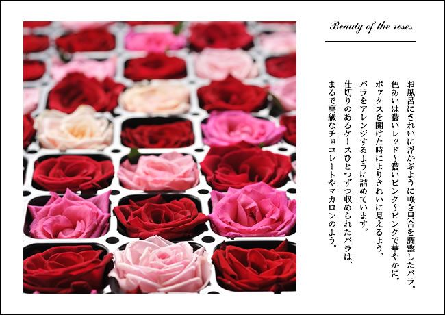 バラ風呂セット-プレミアムローズコレクション|花を楽しむ通販ショップ《ケイコレクション》