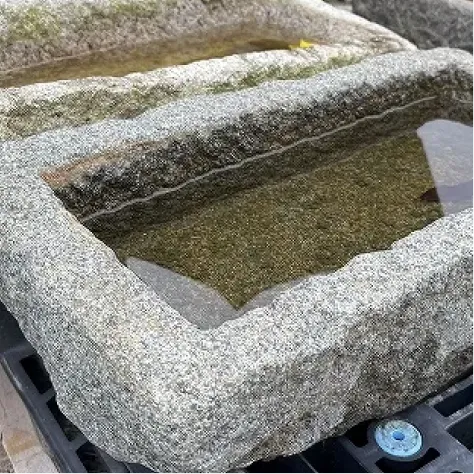 ��ȭ