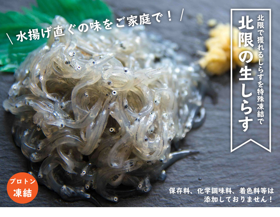 生シラス 100ｇ 宮城県産 海鮮 刺身 鮮魚通販 相馬のおんちゃま