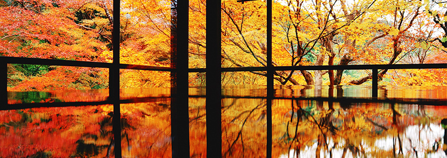 秋：瑠璃光院・写し紅葉