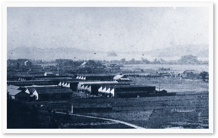 ڼ̿1946ʾ21ǯζ¸ʰθԡ