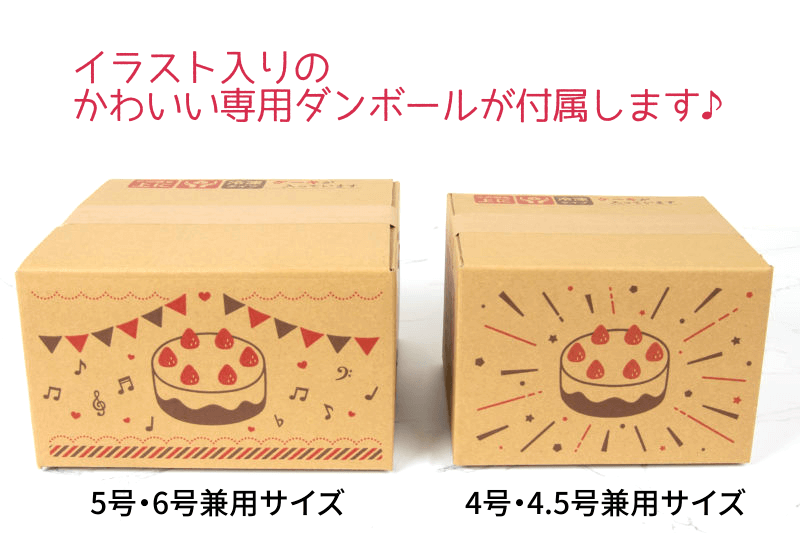 パッケージ中澤 冷凍ケーキ配送キット「デコ配セット」