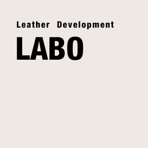 Leater Development LABO