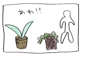 植物の育て方画像