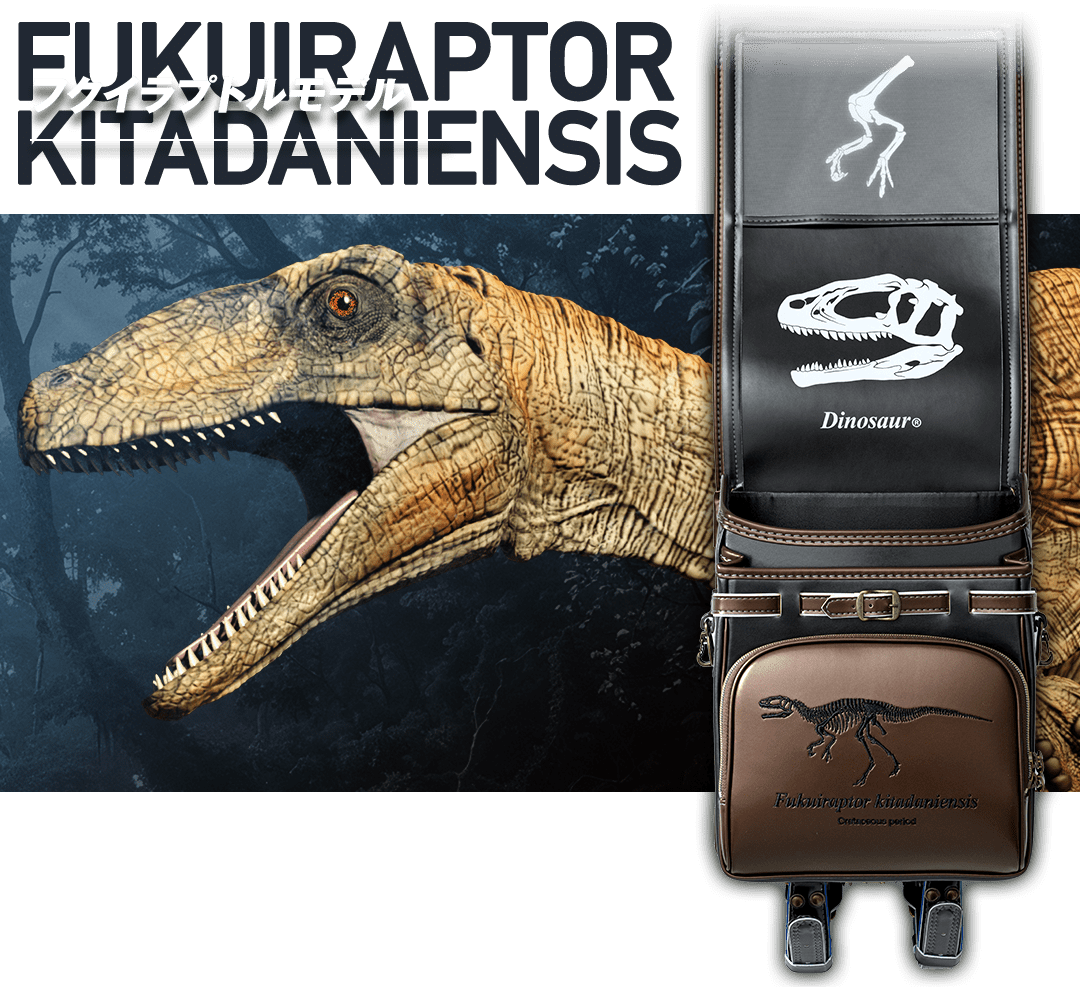 フクイラプトルモデル