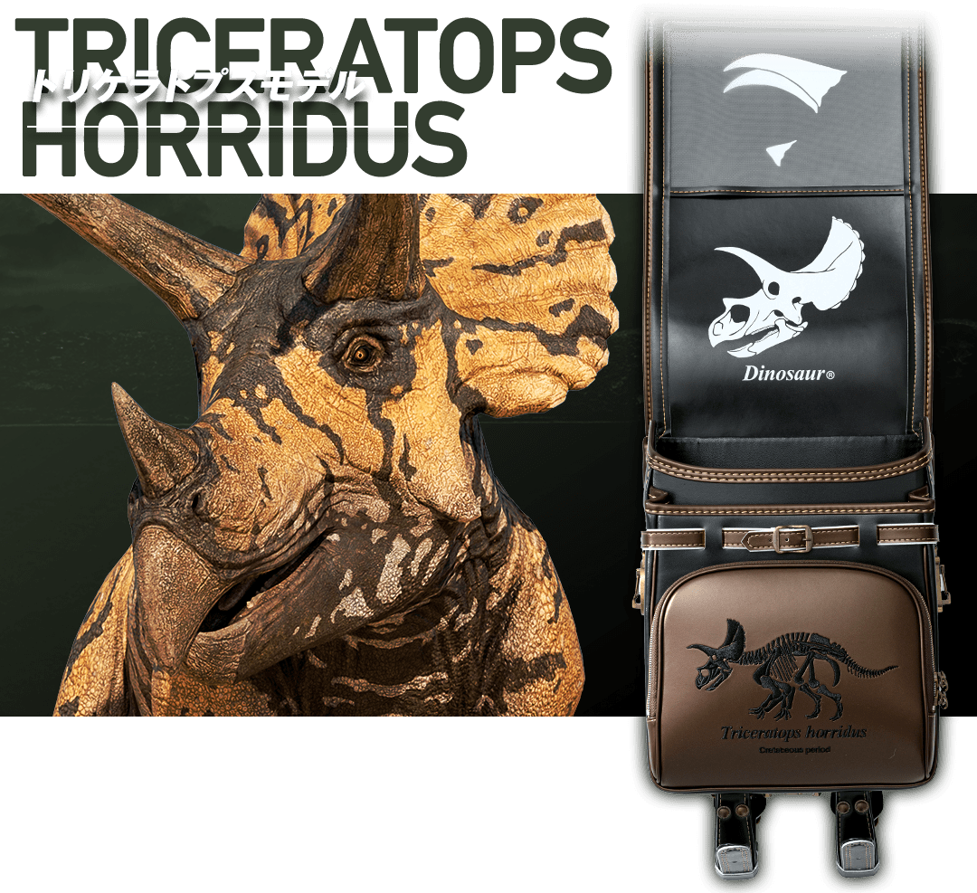 トリケラトプスモデル