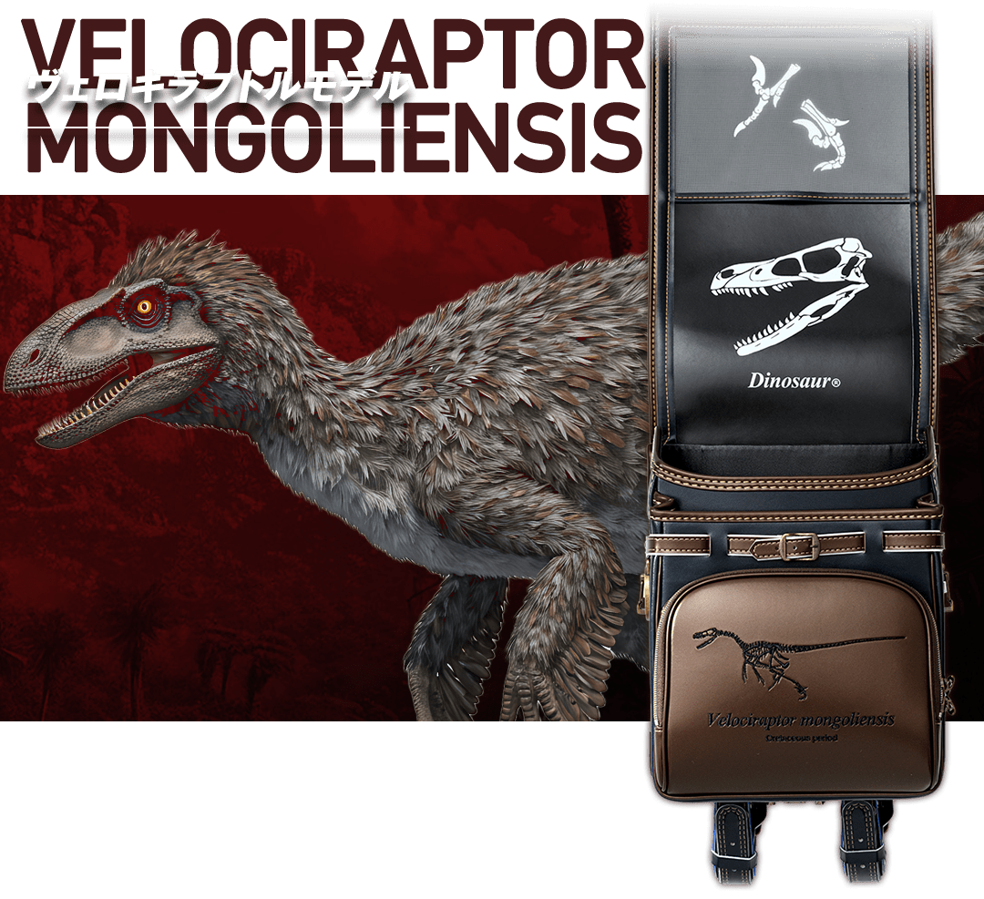 ヴェロキラプトルモデル
