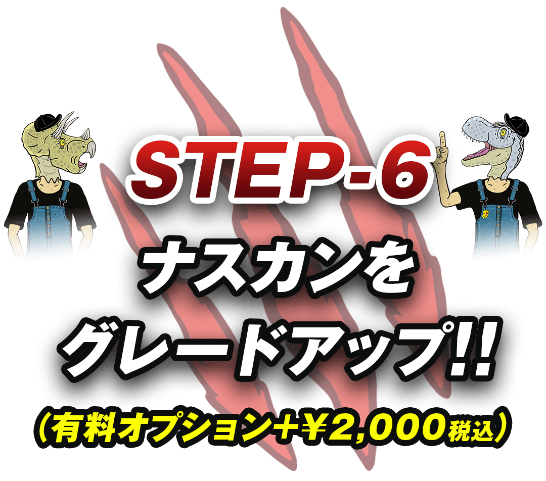 STEP6ナスカンをグレードアップ!有料オプション2000円税込