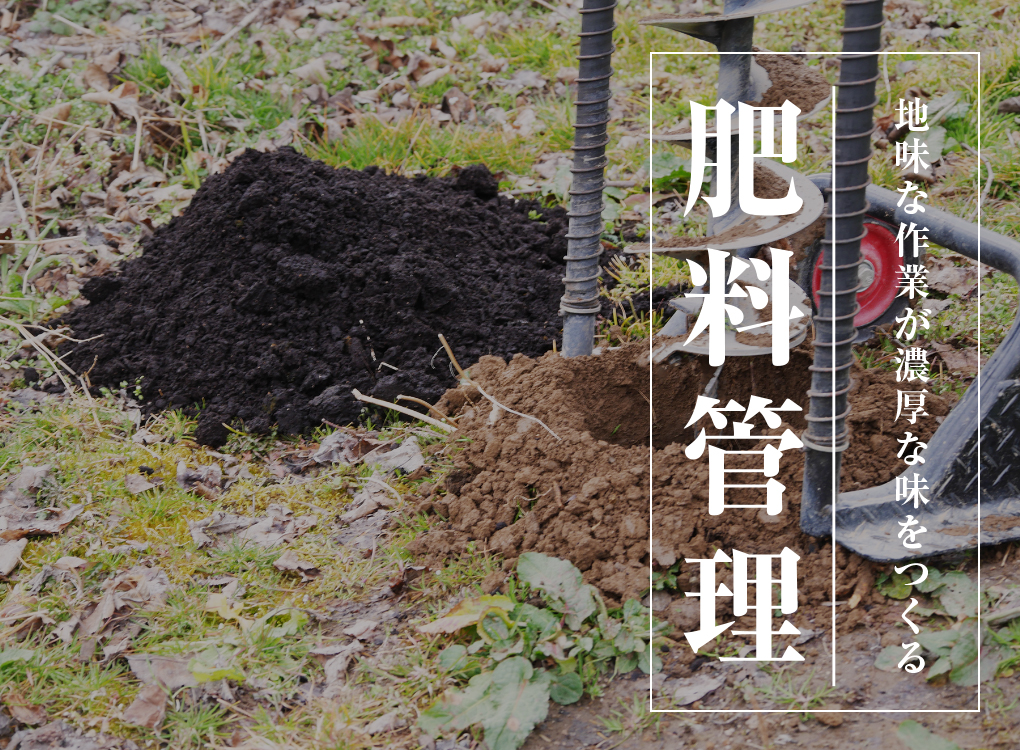 肥料管理|地味な作業が濃厚な味を作る